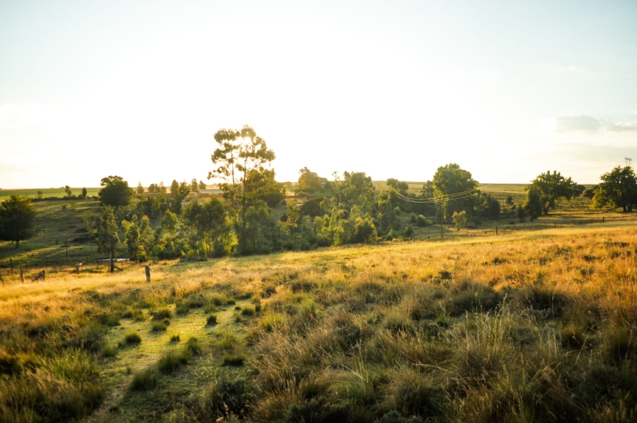 Commercial Property for Sale in Reitz Free State